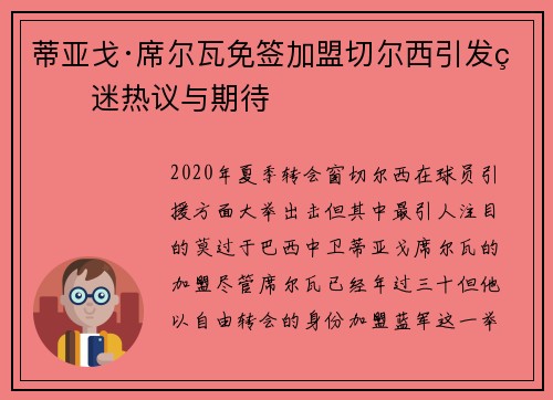 蒂亚戈·席尔瓦免签加盟切尔西引发球迷热议与期待
